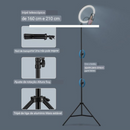 Aro de Lâmpada Led com Suporte para Celular Suporte Tripé